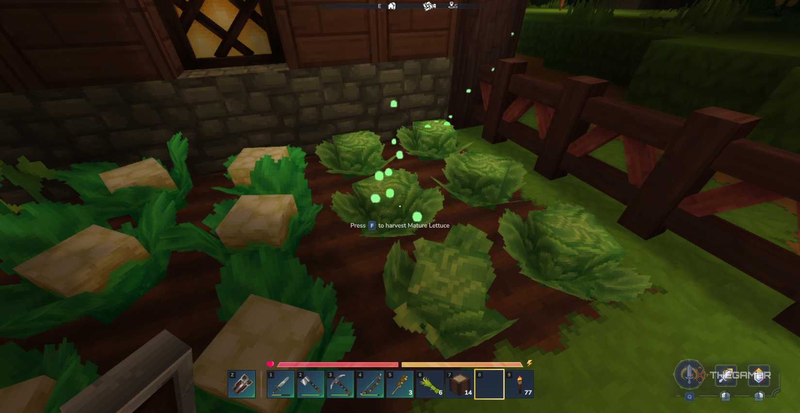 The player character in his garden is about to harvest the ripe lettuce in Hytale at night.