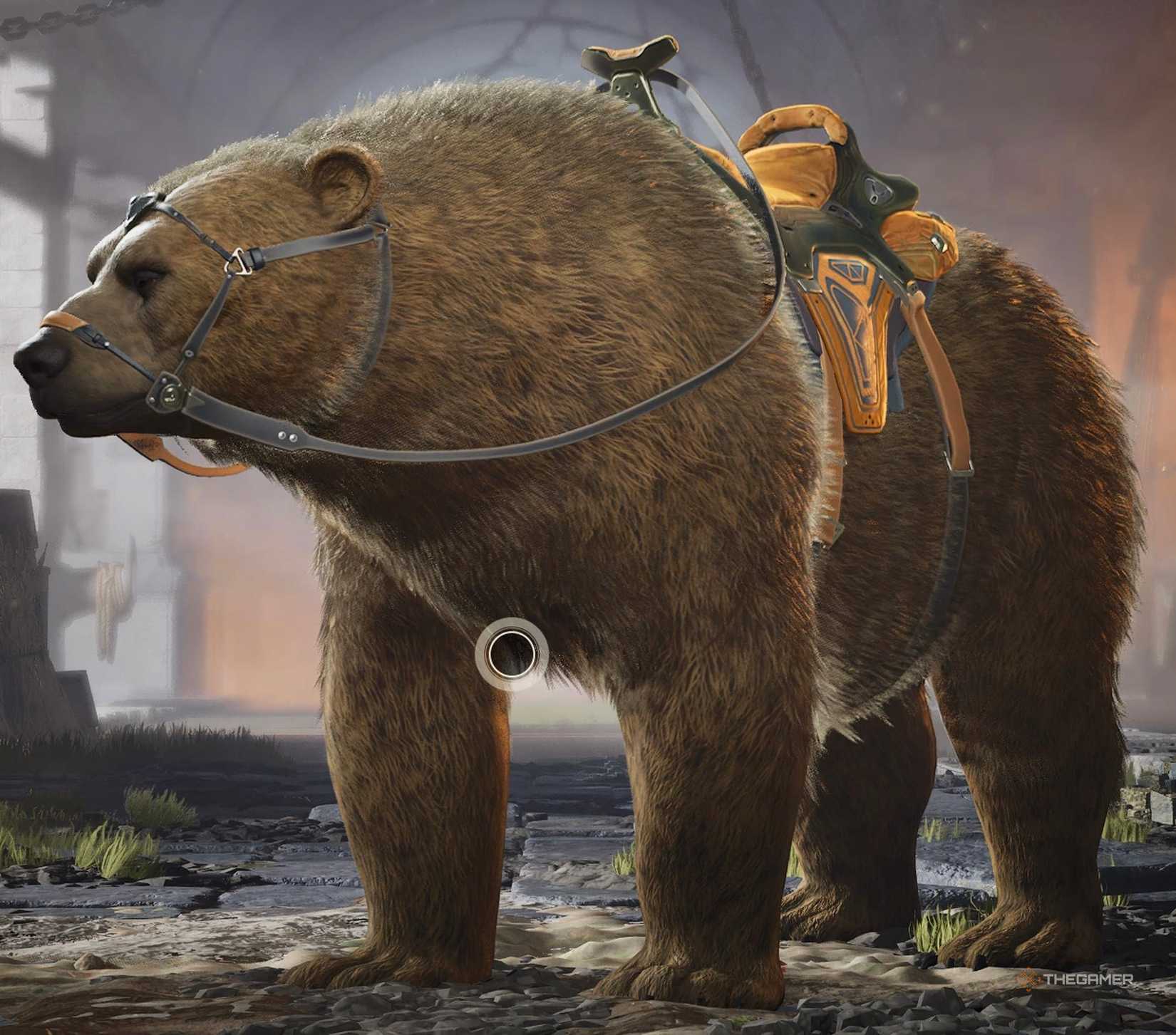 Highguard's default bear skin.
