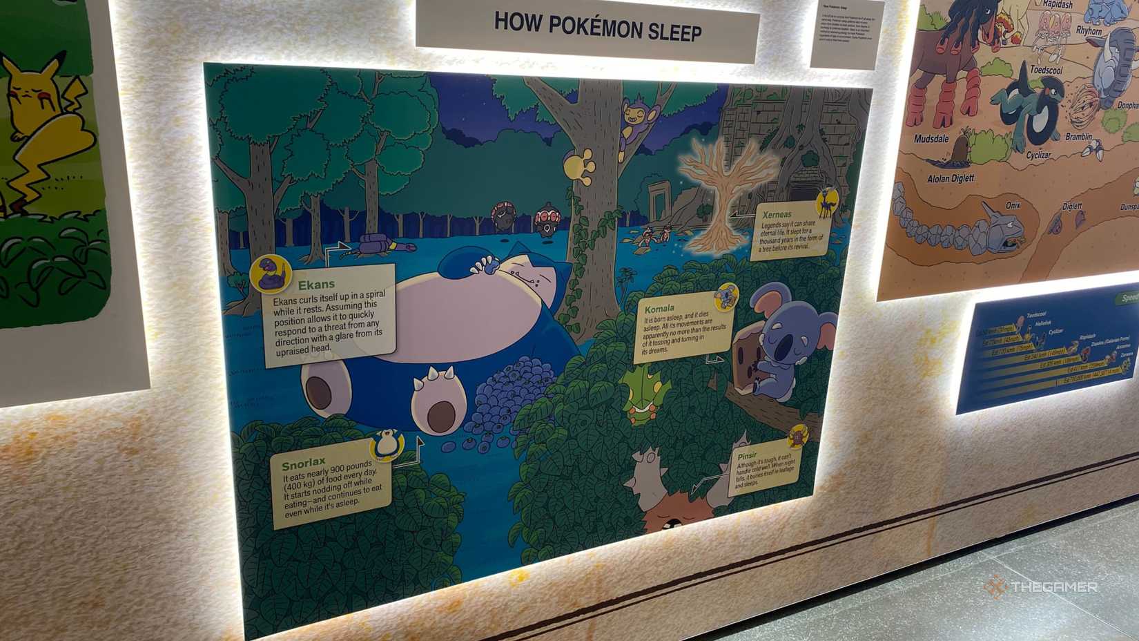 Museum Guide Pokemon Pokemon x Natural History Museum: Everything You Can Buy At The Pop-Up