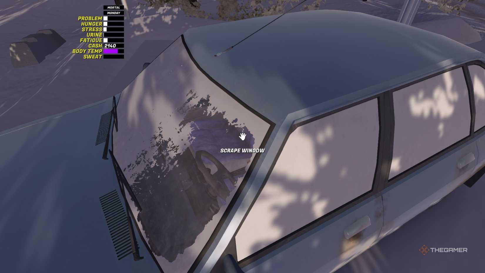 My Winter Guide with Tips for Beginners (3)