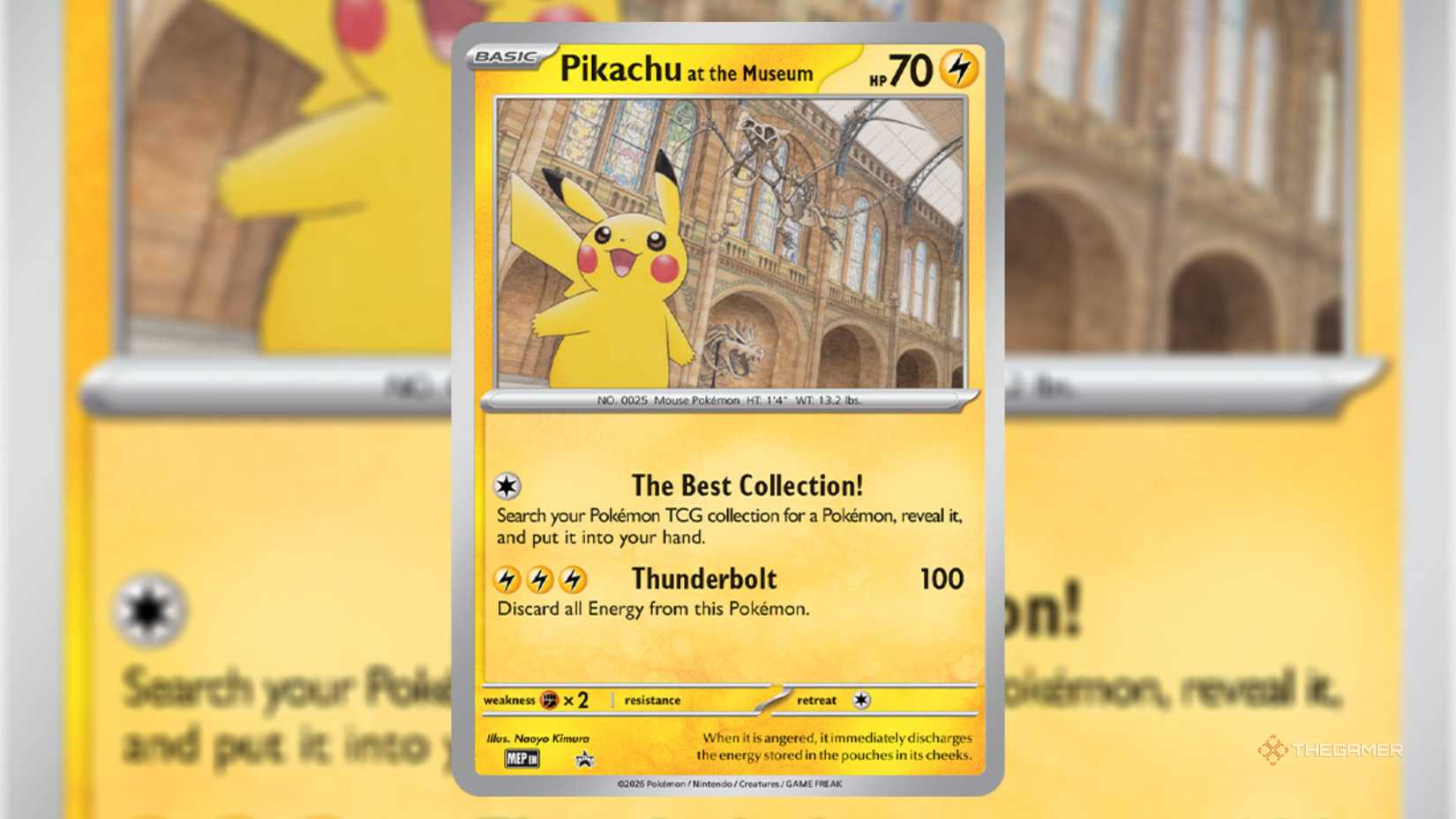 pikachu in the pokemon card museum