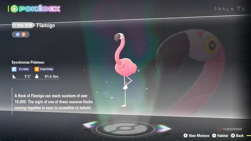 Flamigo's Pokedex entry in Pokemon Legends: Z-A.