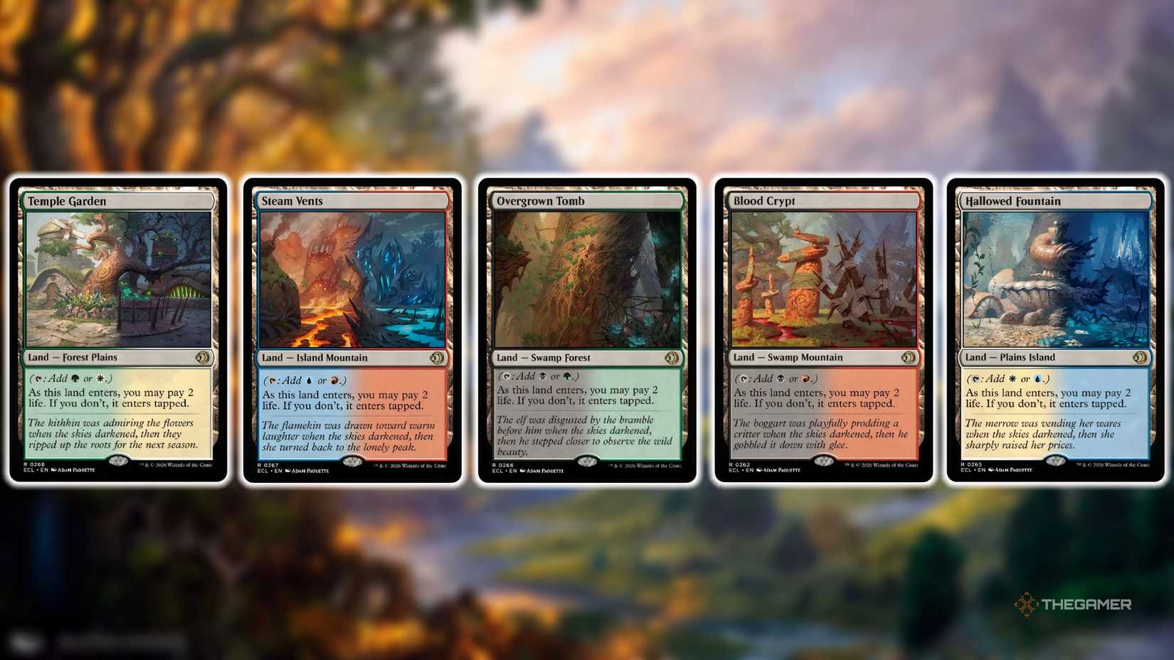 Shock Lands from MTG Lorwyn Eclipsed against a plain.