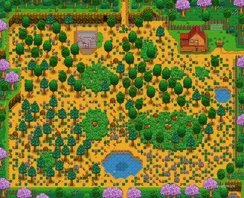 A screenshot of Standard Farm in Stardew Valley.