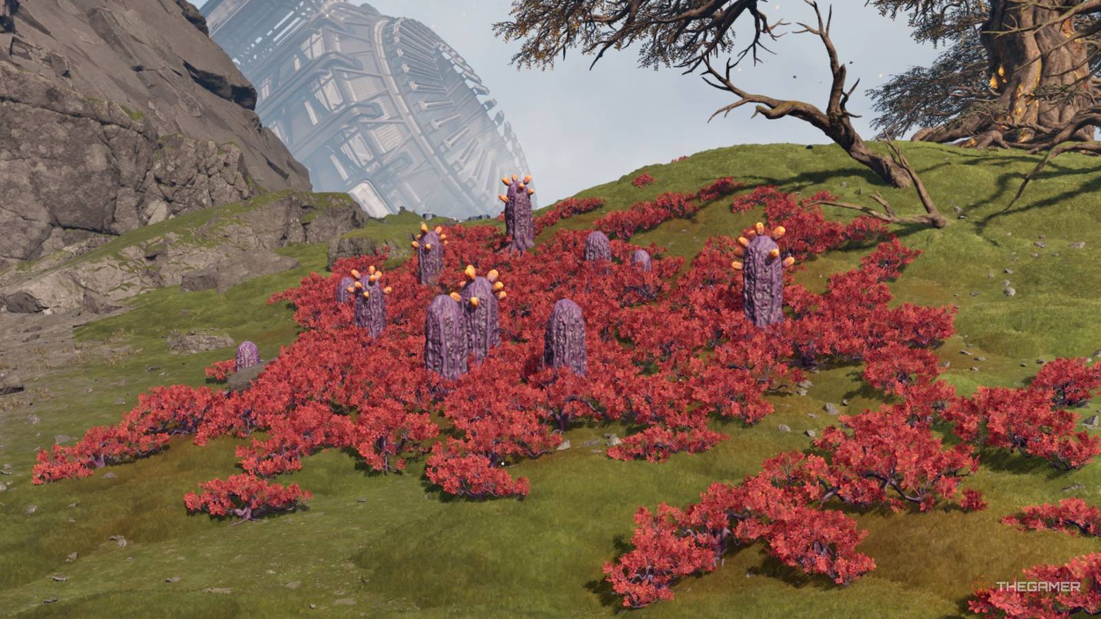How To Find And Use All Plant Resources In StarRupture
