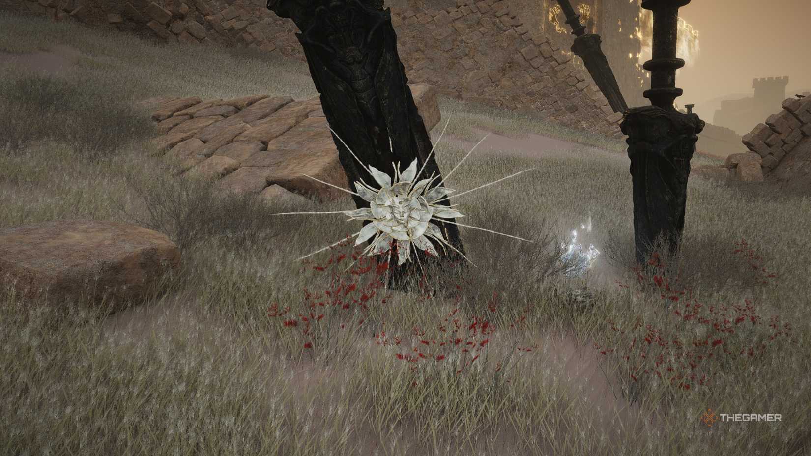 Where the wind meets, large rainbow flowers bloom.