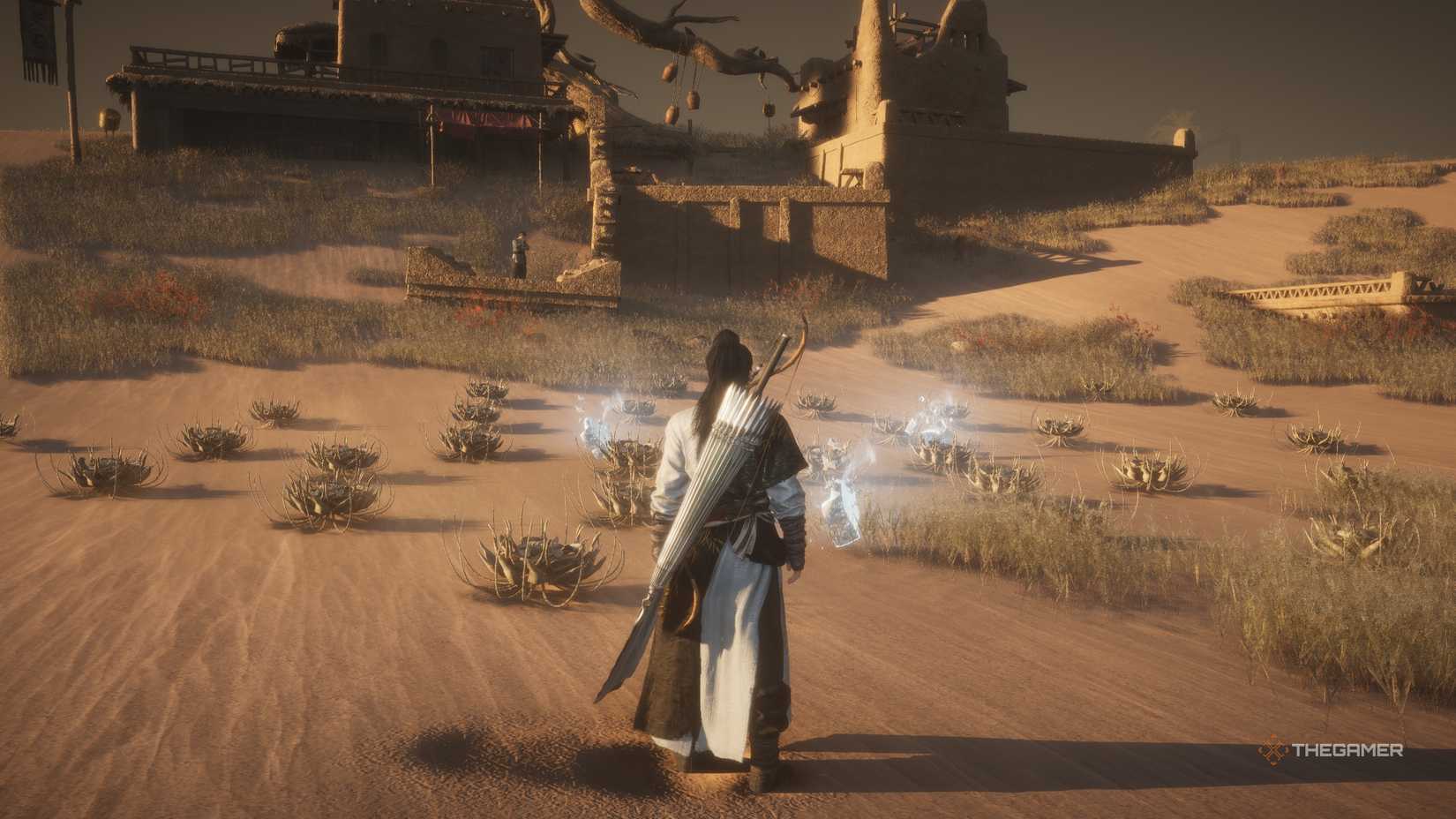 Rainbone flower farm where the wind meets.