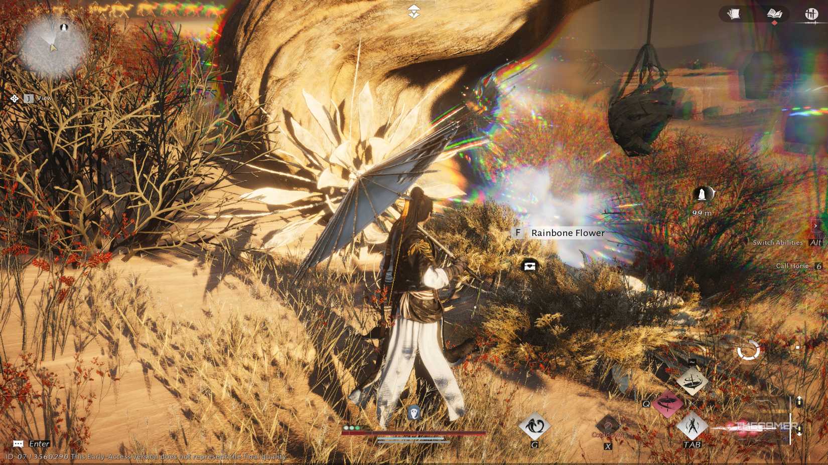 Rainbow flowers attack where the wind meets.