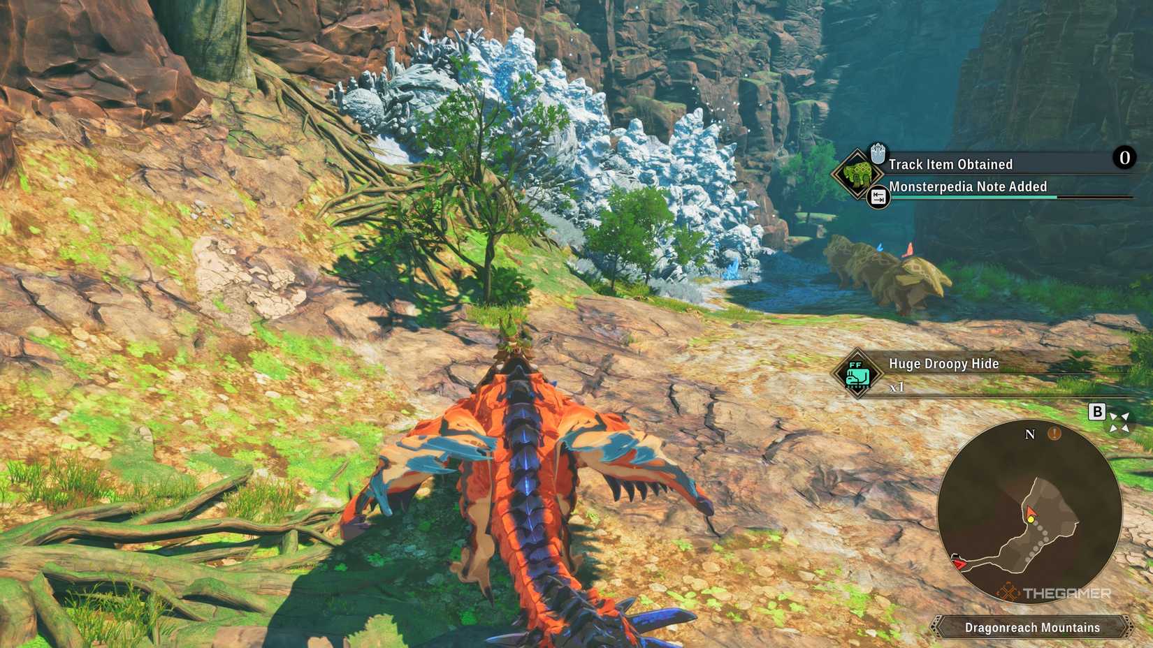 Where To Find All Track Items In Canalta Timberland In Monster Hunter ...