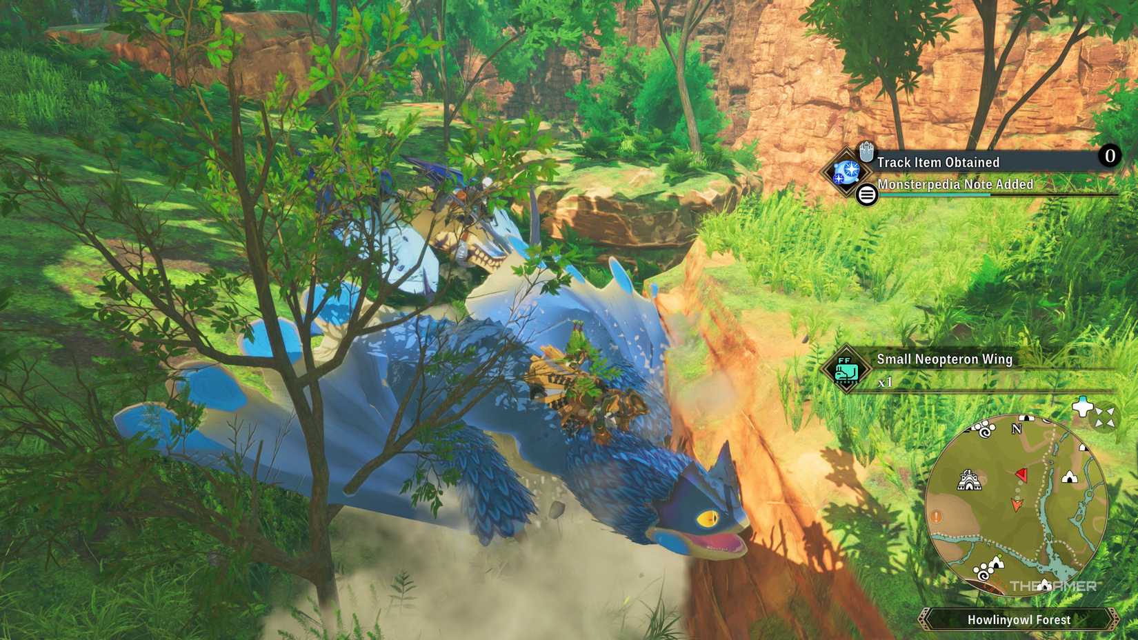 Where To Find All Track Items In Canalta Timberland In Monster Hunter ...