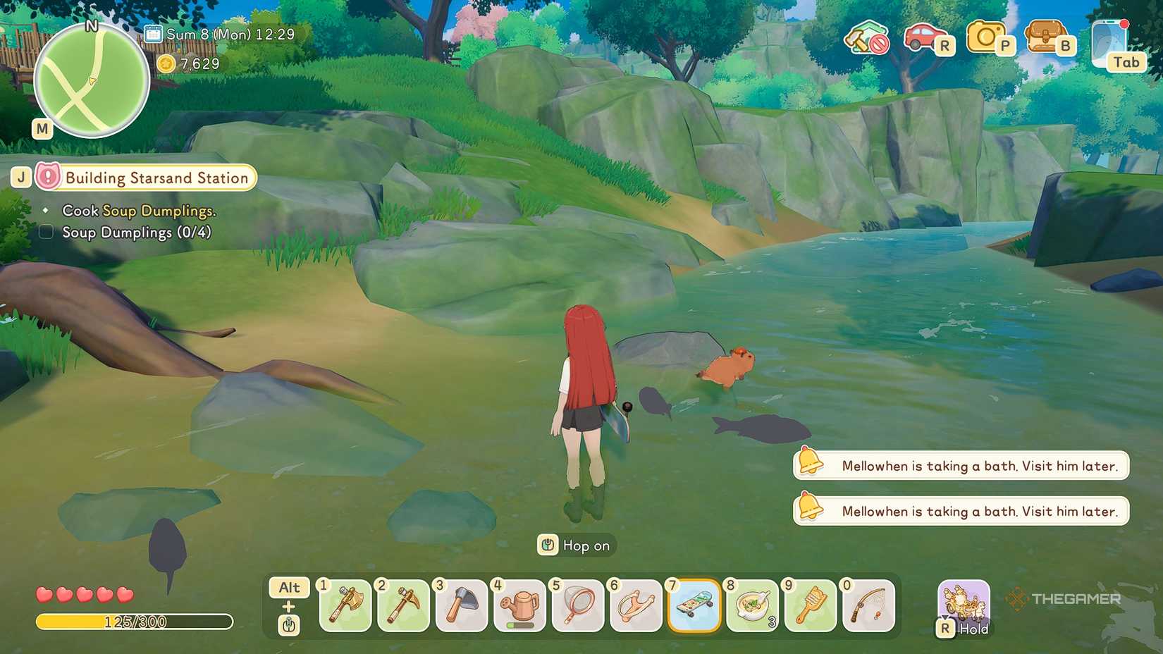 A capybara swimming in the river of Starsand Island.