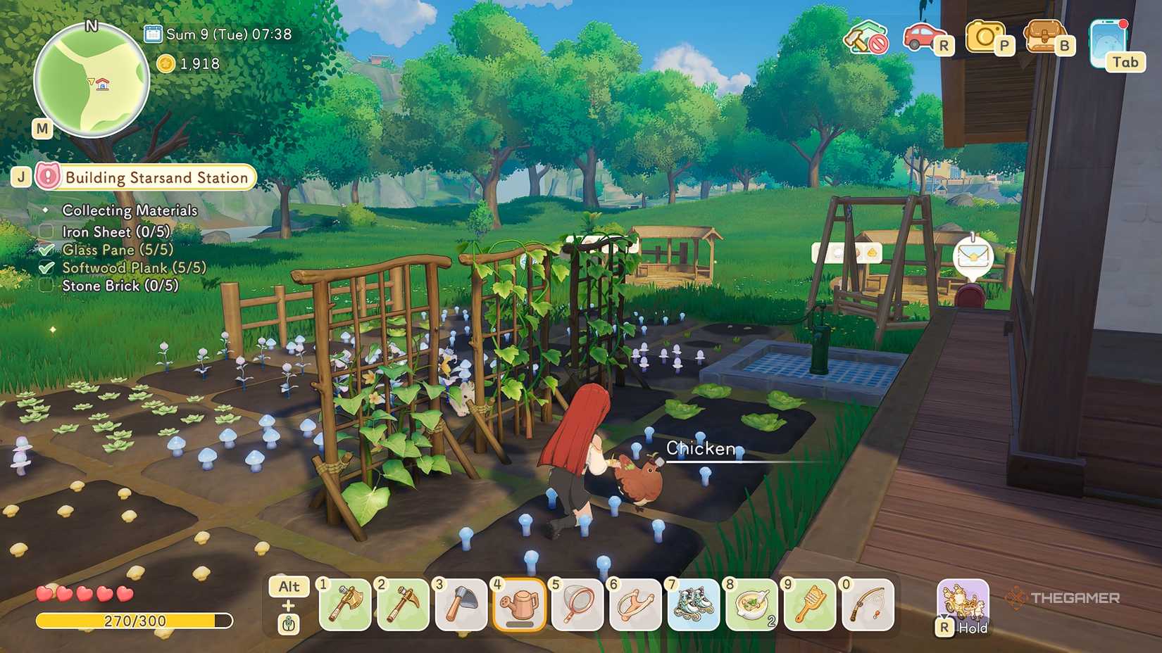 Petting a chicken at Star Sand Island Farm.