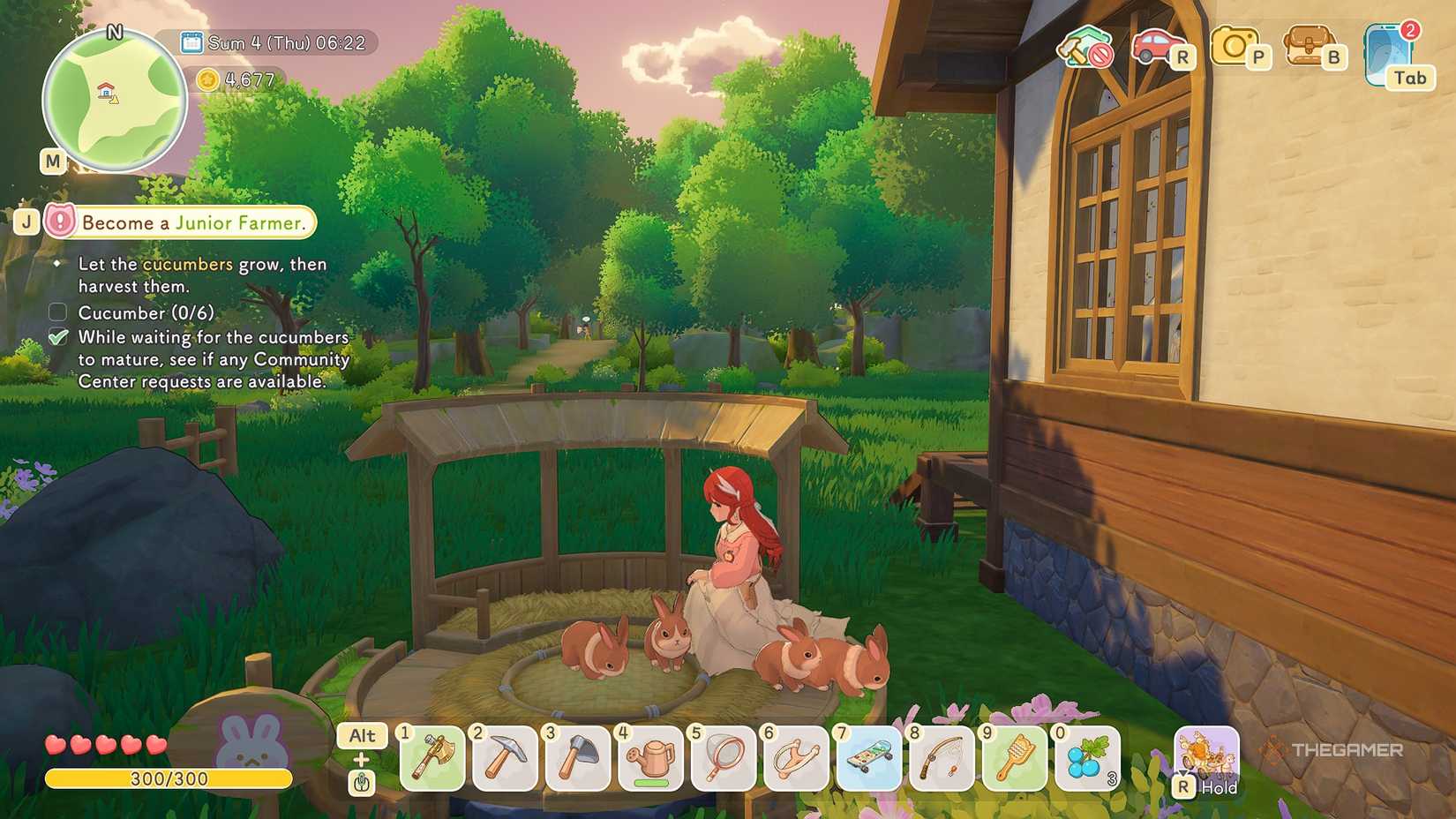 Starsand Island Sitting with a group of rabbits in the yard.