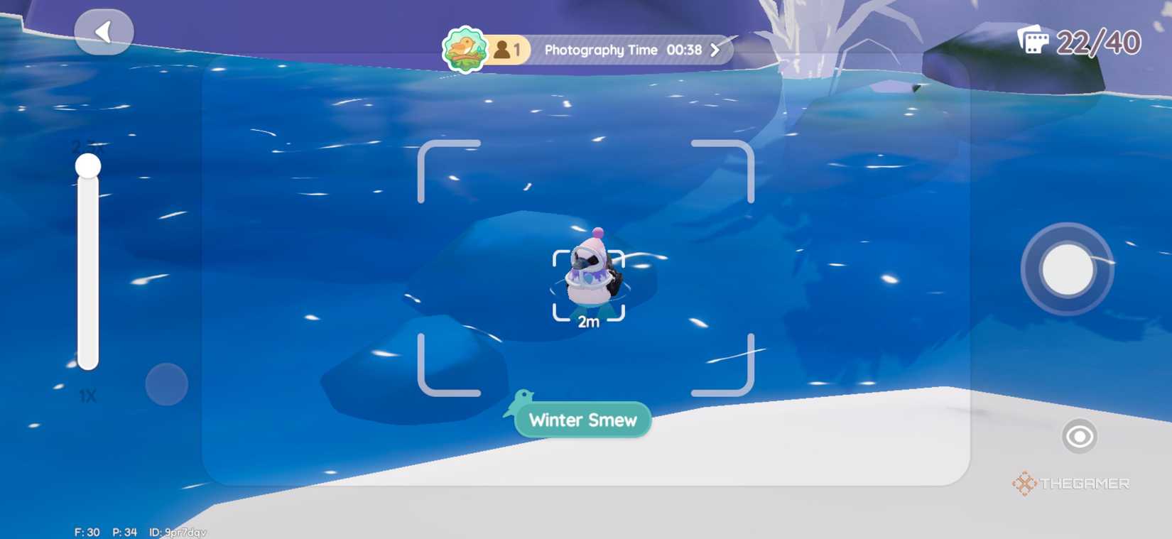 Taking photos ifn a Winter Smew in Heartopia.