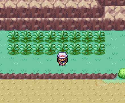 Trainer standing in front of some Wild Grass in Pokemon FireRed and LeafGreen.
