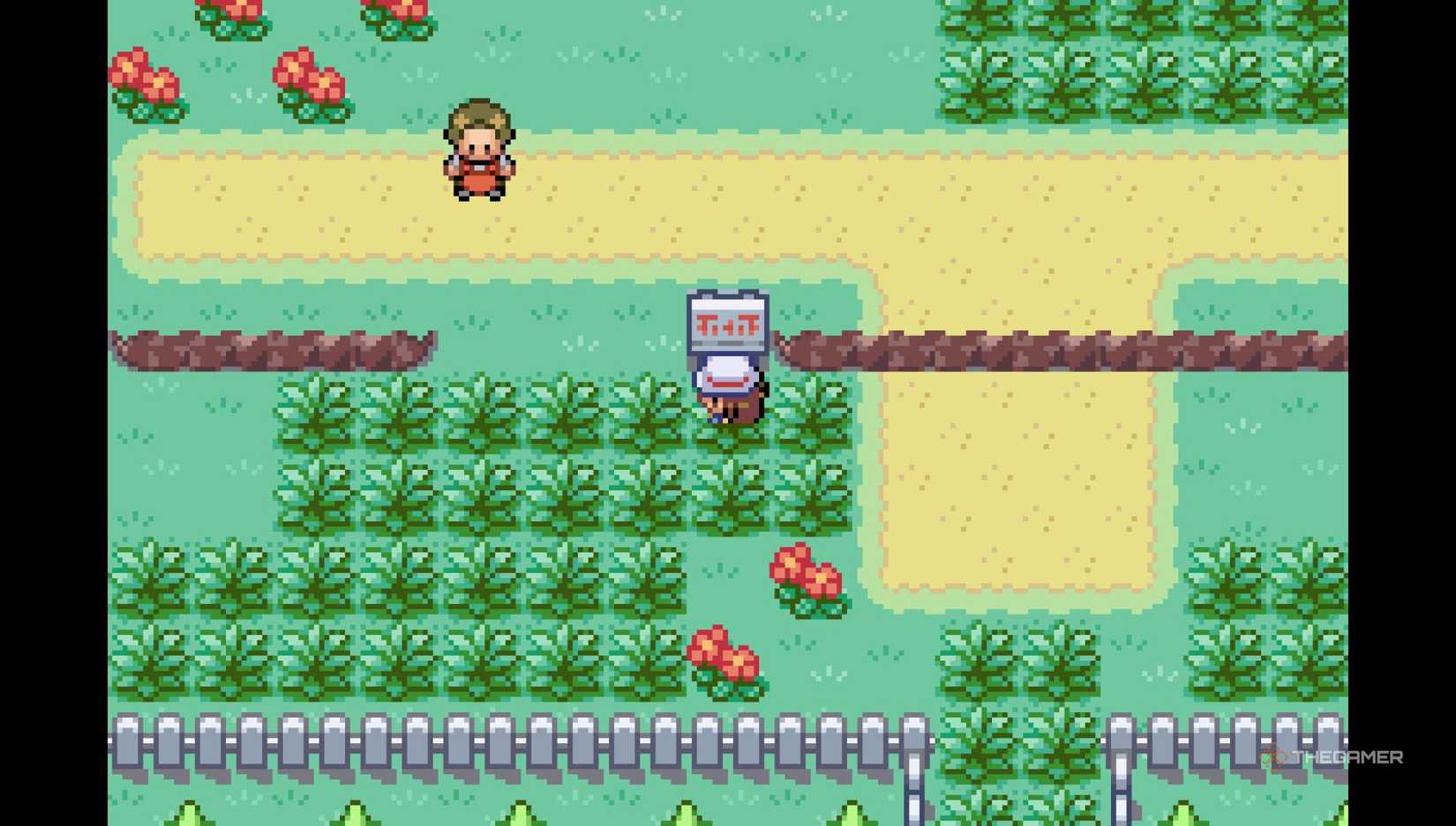 Wild Grass location of Pidgey in Pokemon FireRed and LeafGreen.