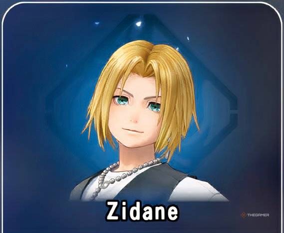 Zidane profile picture in Dissidia Duellum Final Fantasy.