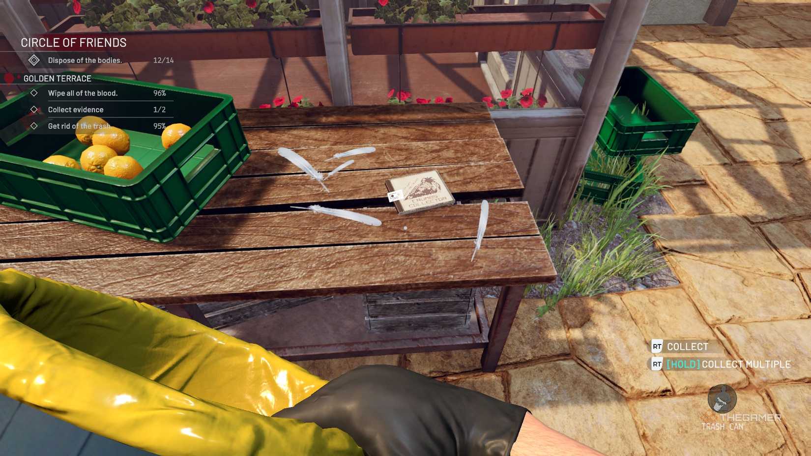 Crime Scene Cleaner Golden Terrace CD by the greenhouse.