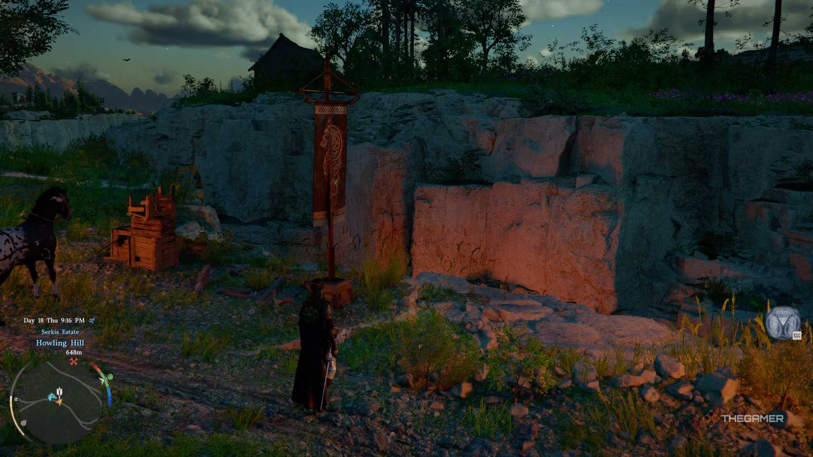 Crimson Desert looking flag for camp.