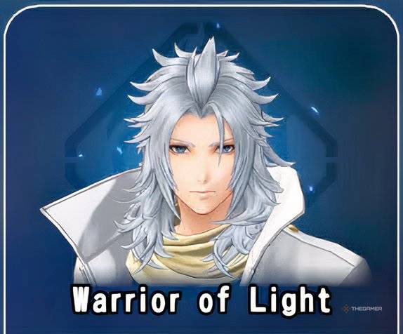 Warior of Light profile picture in Dissidia Duellum Final Fantasy.