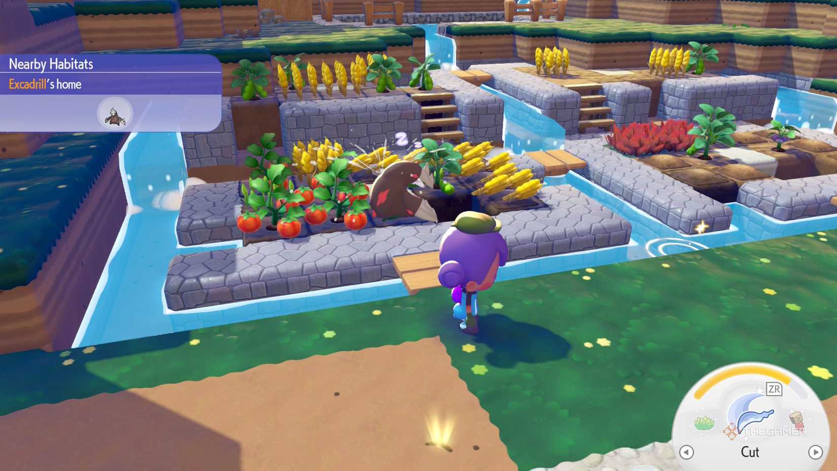 A field with vegetables to harvest in Pokemon Pokopia.