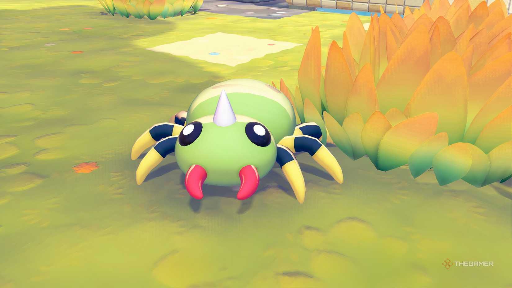 Spinarak in Pokemon Pokopia.