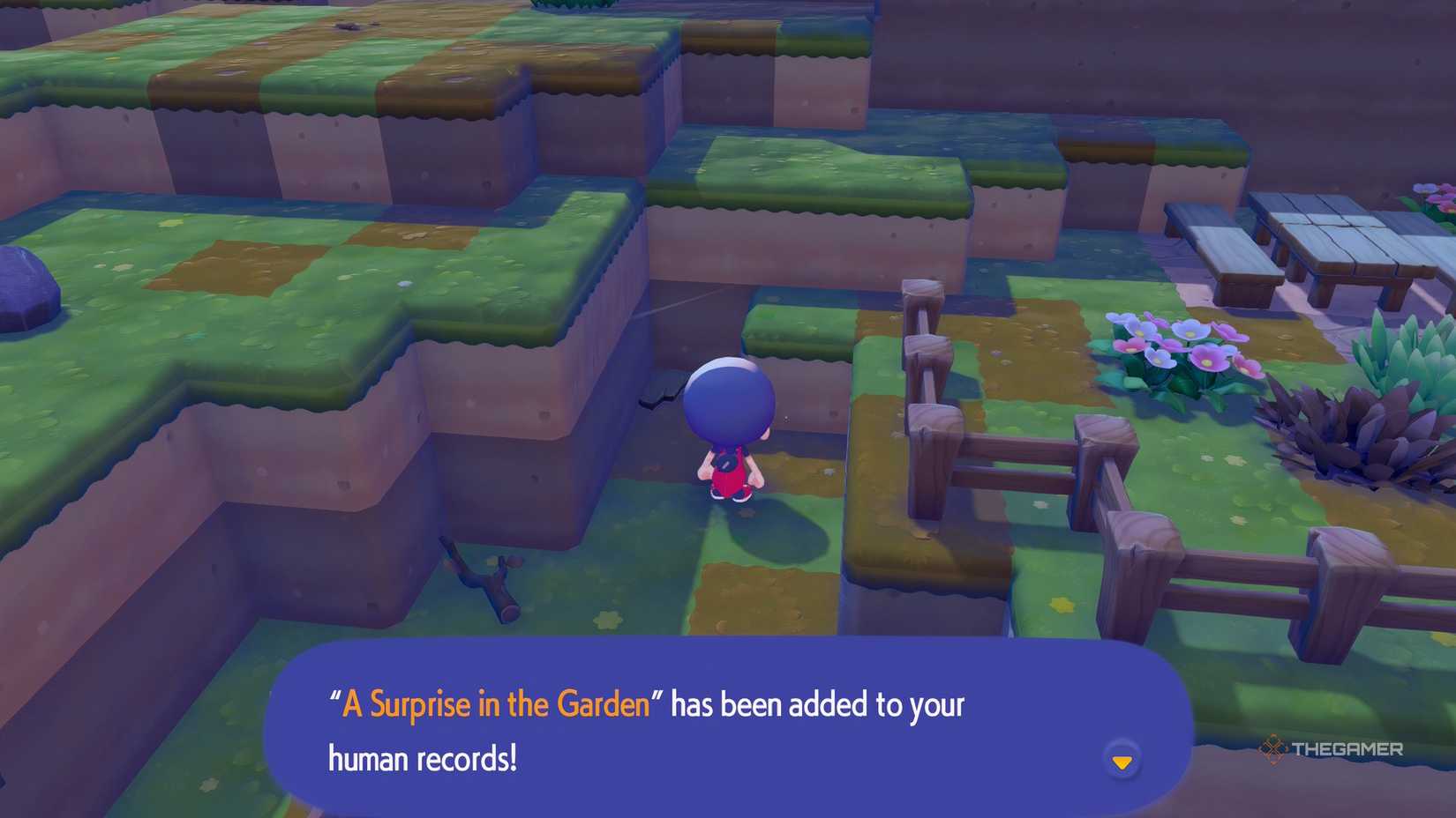 In-game location for the Point Here emote in Pokemon Pokopia.