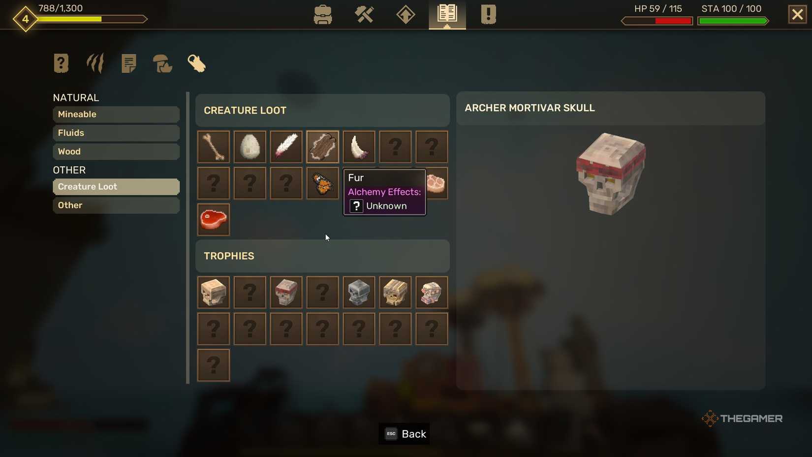 Info on an Archer Mortivar Skull in Everwind.