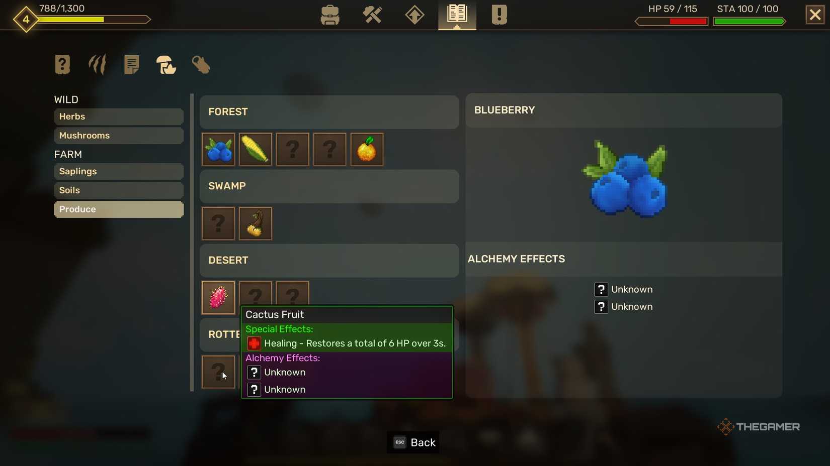 Info on Blueberries and Cactus Fruit in Everwind.