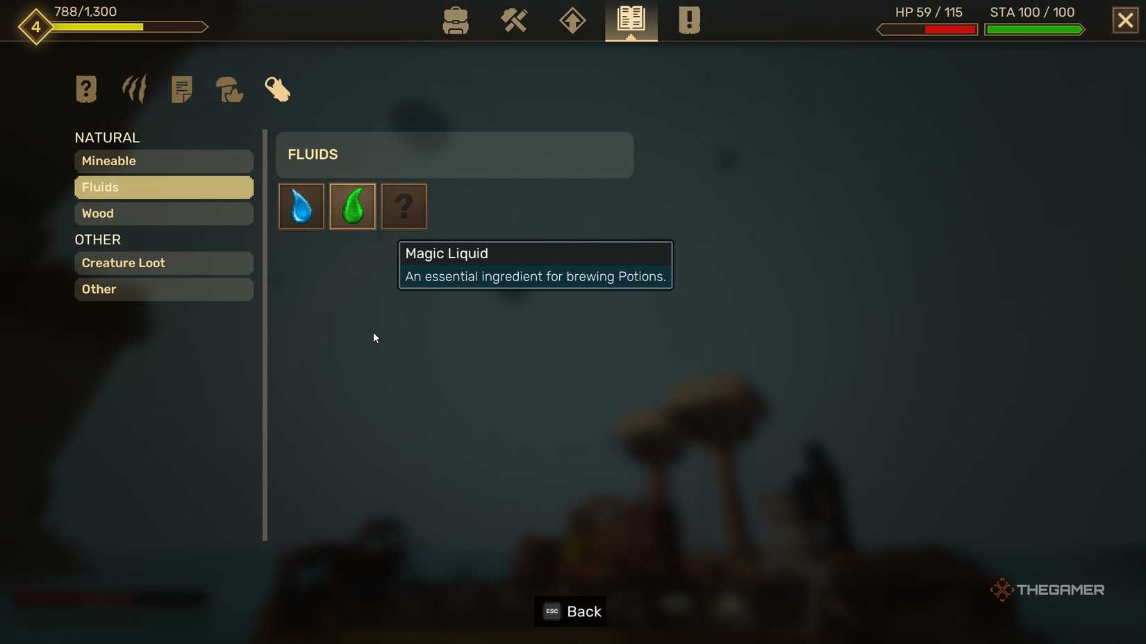 Info on Magic Liquid in Everwind.