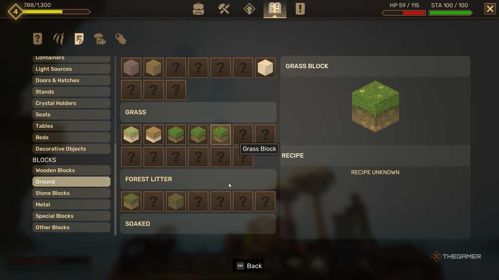 Info on one Grass Block model in Everwind.