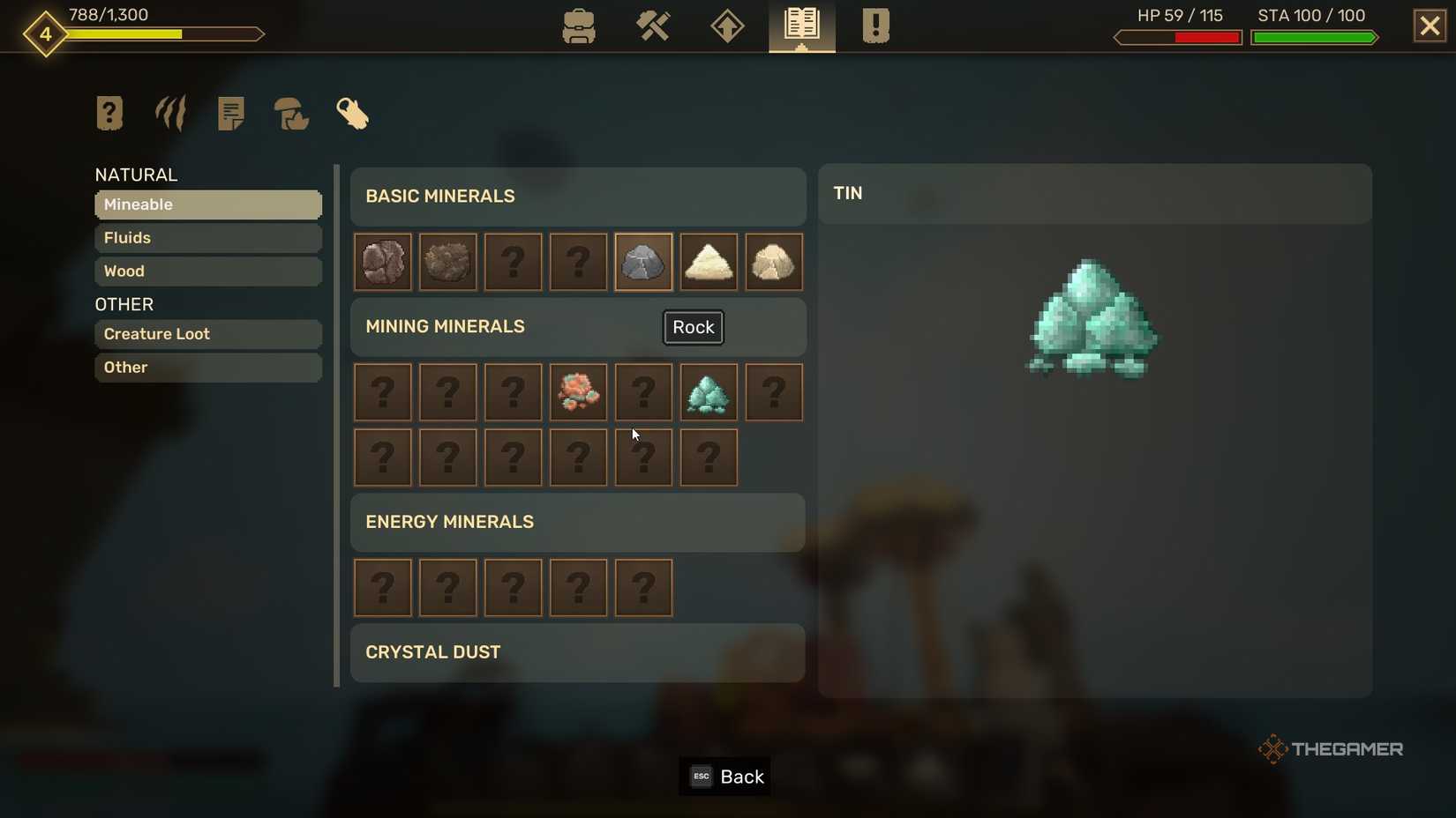 Info on Tin in Everwind.