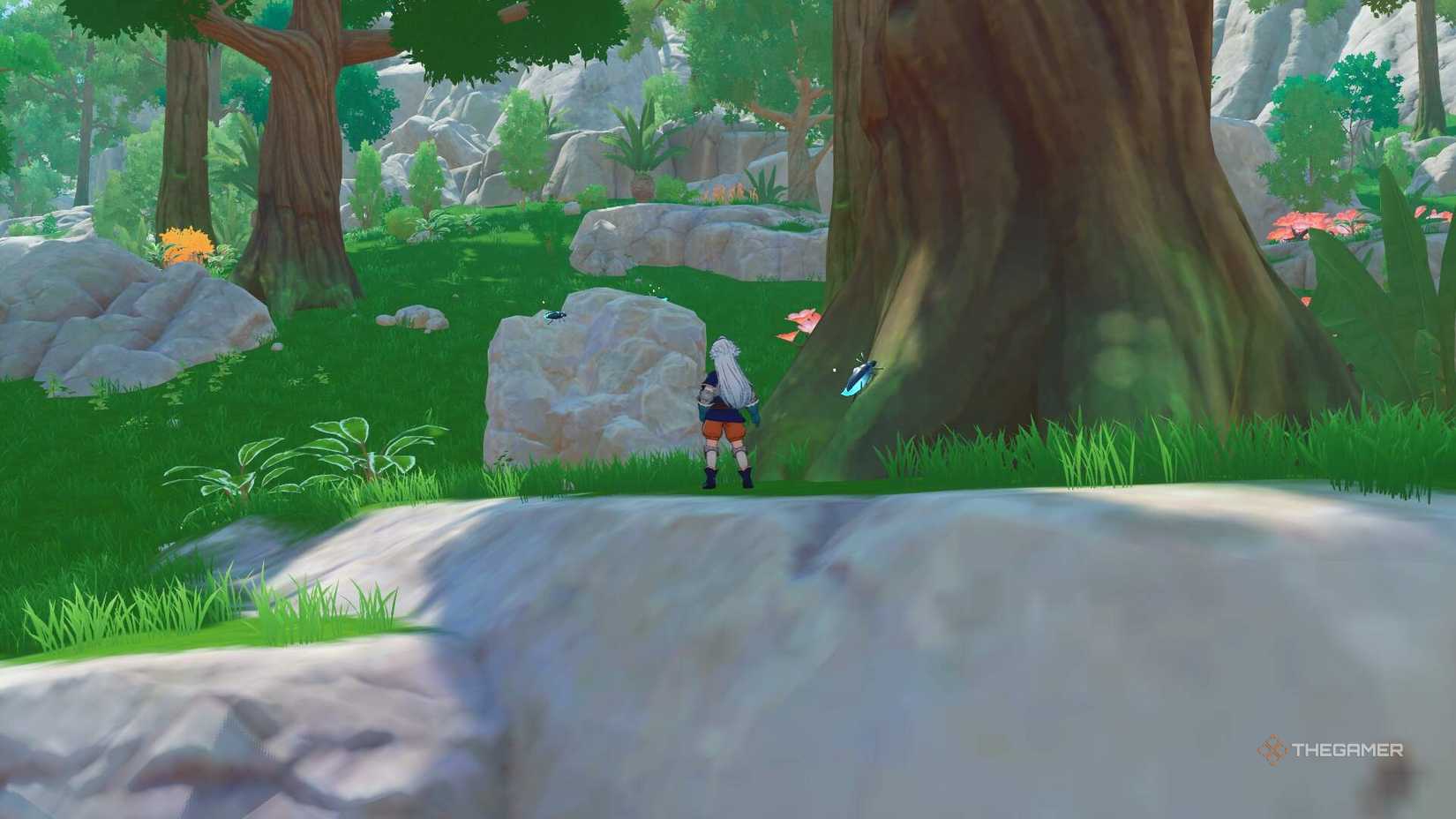 The protagonist near the trees and rocks with spirit fireflies in The Seven Deadly Sins Origins.