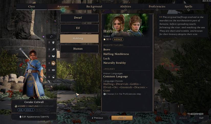 Which Race Should You Pick In Solasta 2?
