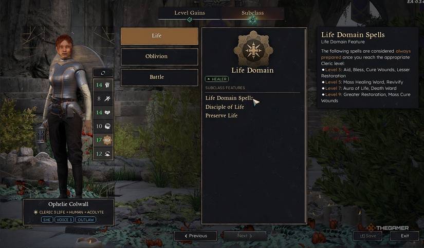 Solasta 2 clerical subclass options.