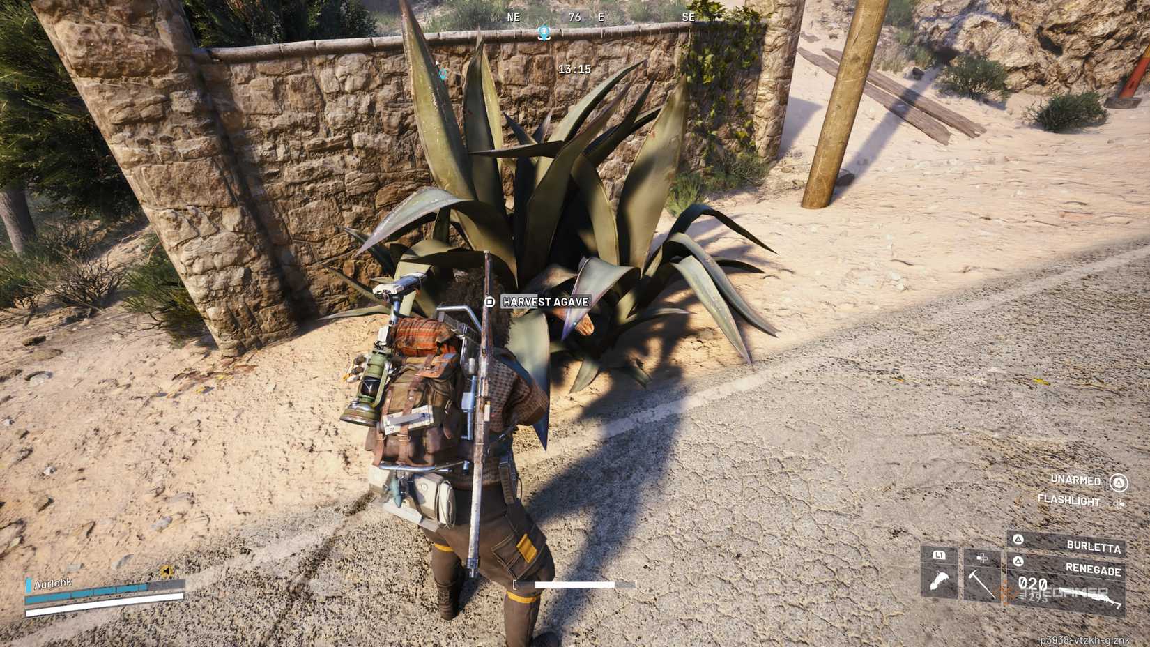 Player raider harvesting agave from a giant agave plant near the road to Riven Tides in Arc Raiders.