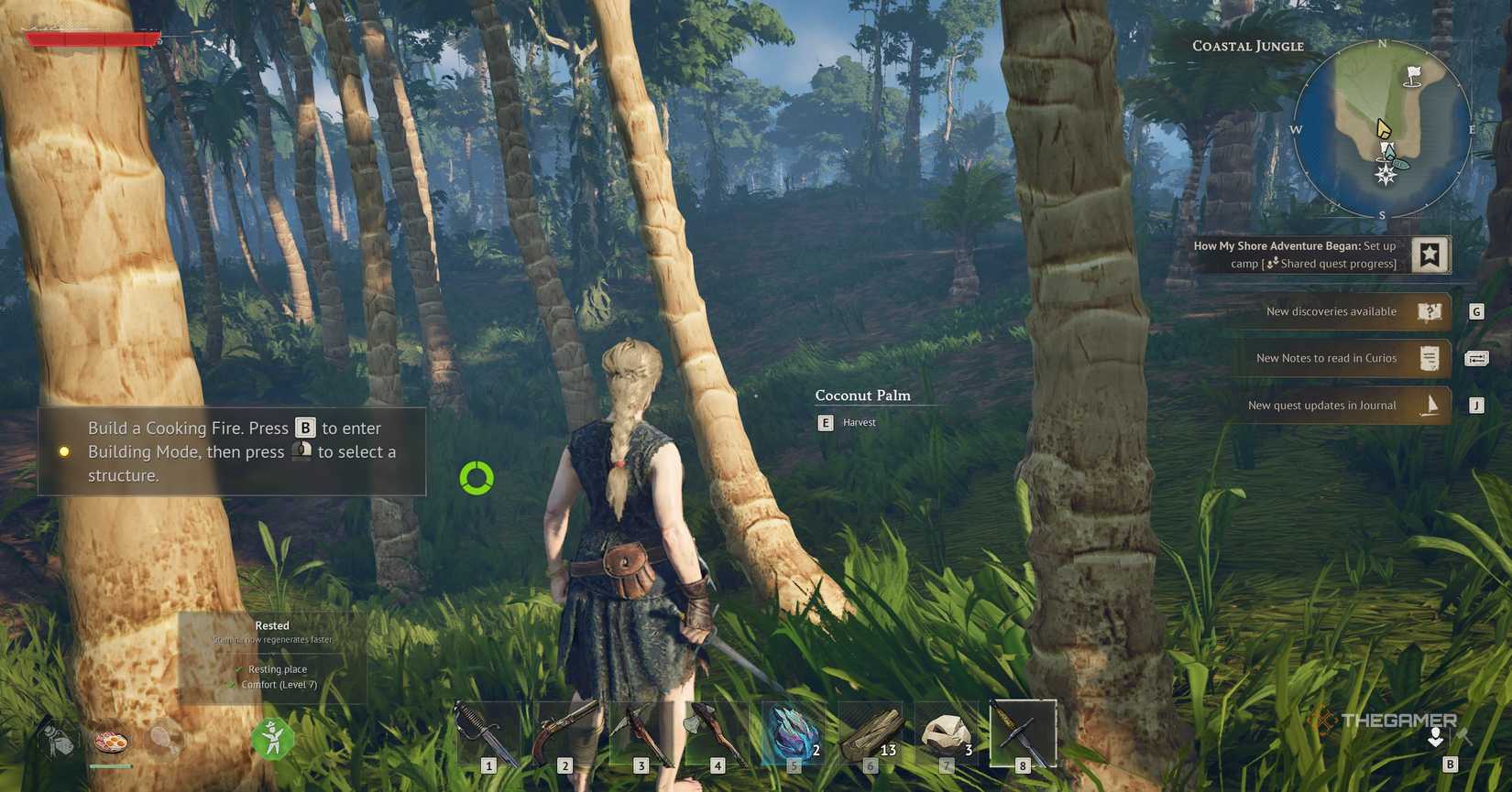 Character in Windrose looking at a coconut.