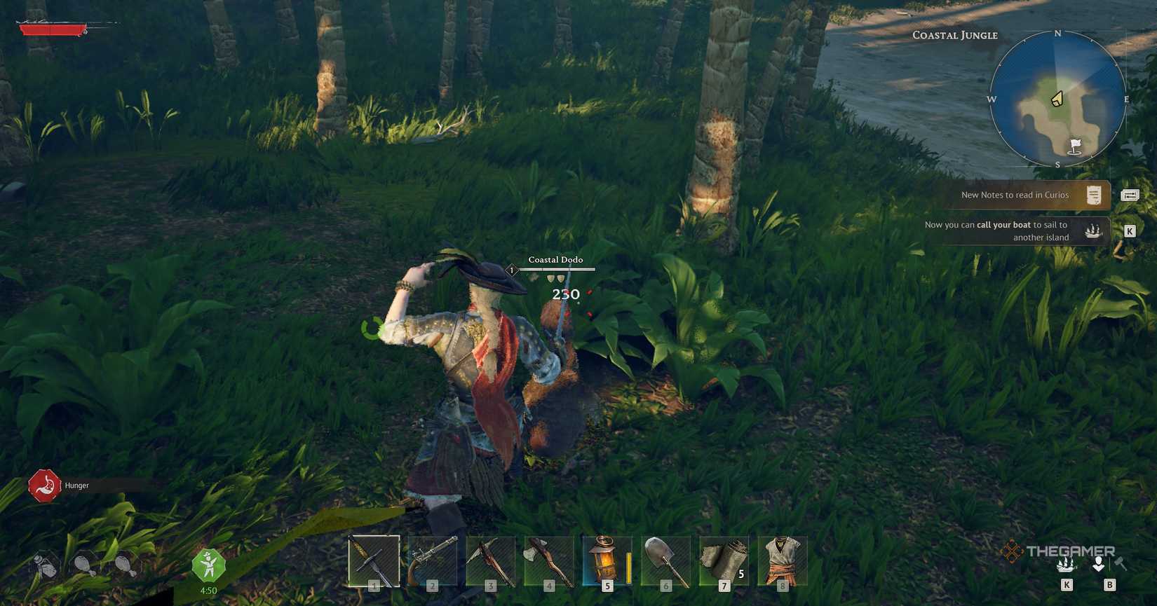 Fighting with a dodo at Windrose.