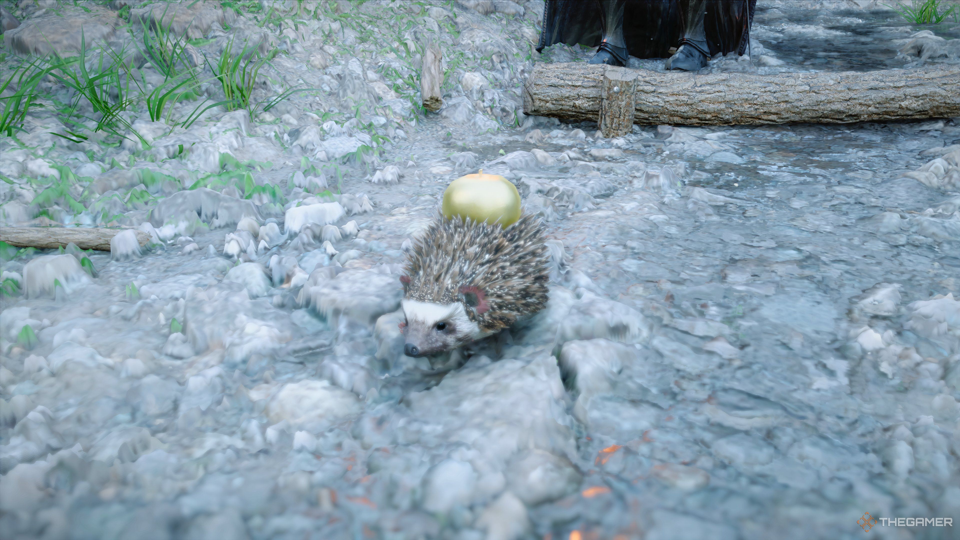 Best Golden Apple Location In Crimson Desert