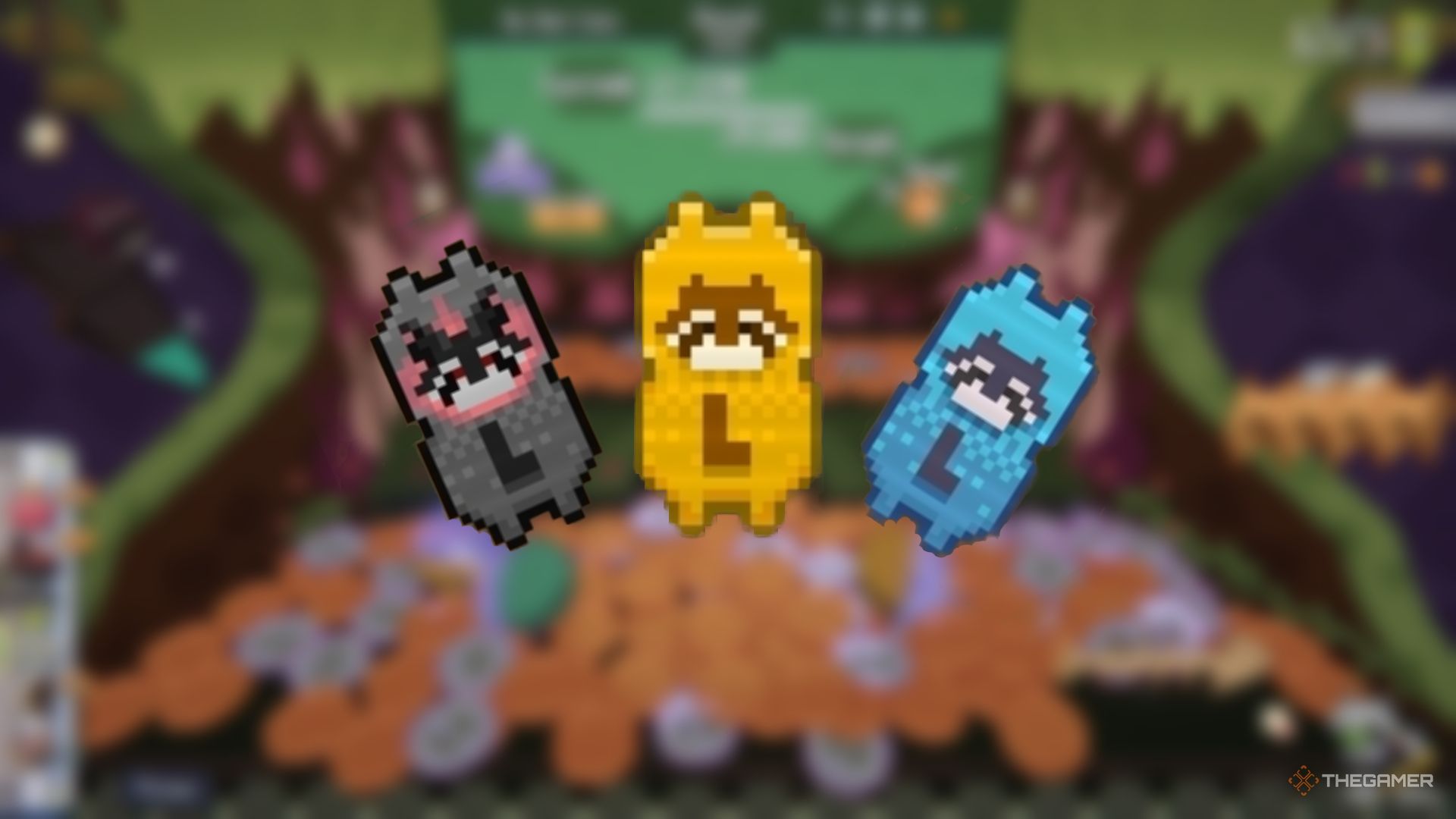 Three stamps of different colors standing on a blurred background in Raccoin.