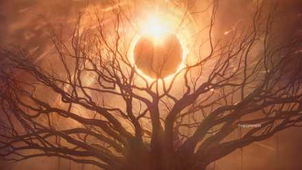 An eclipse filtering through a barren tree.