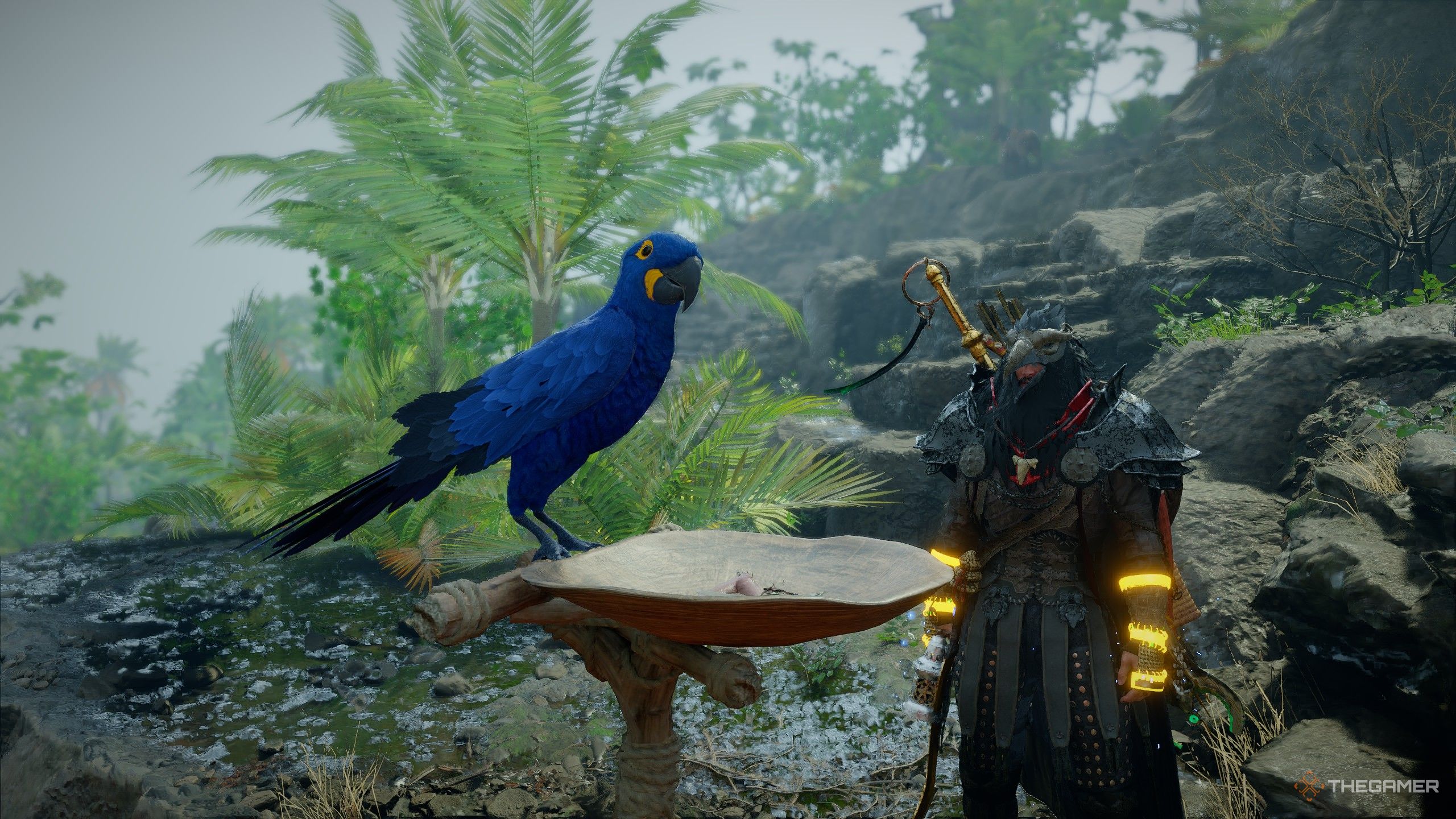 How To Get The Hyacinth Macaw Pet In Crimson Desert