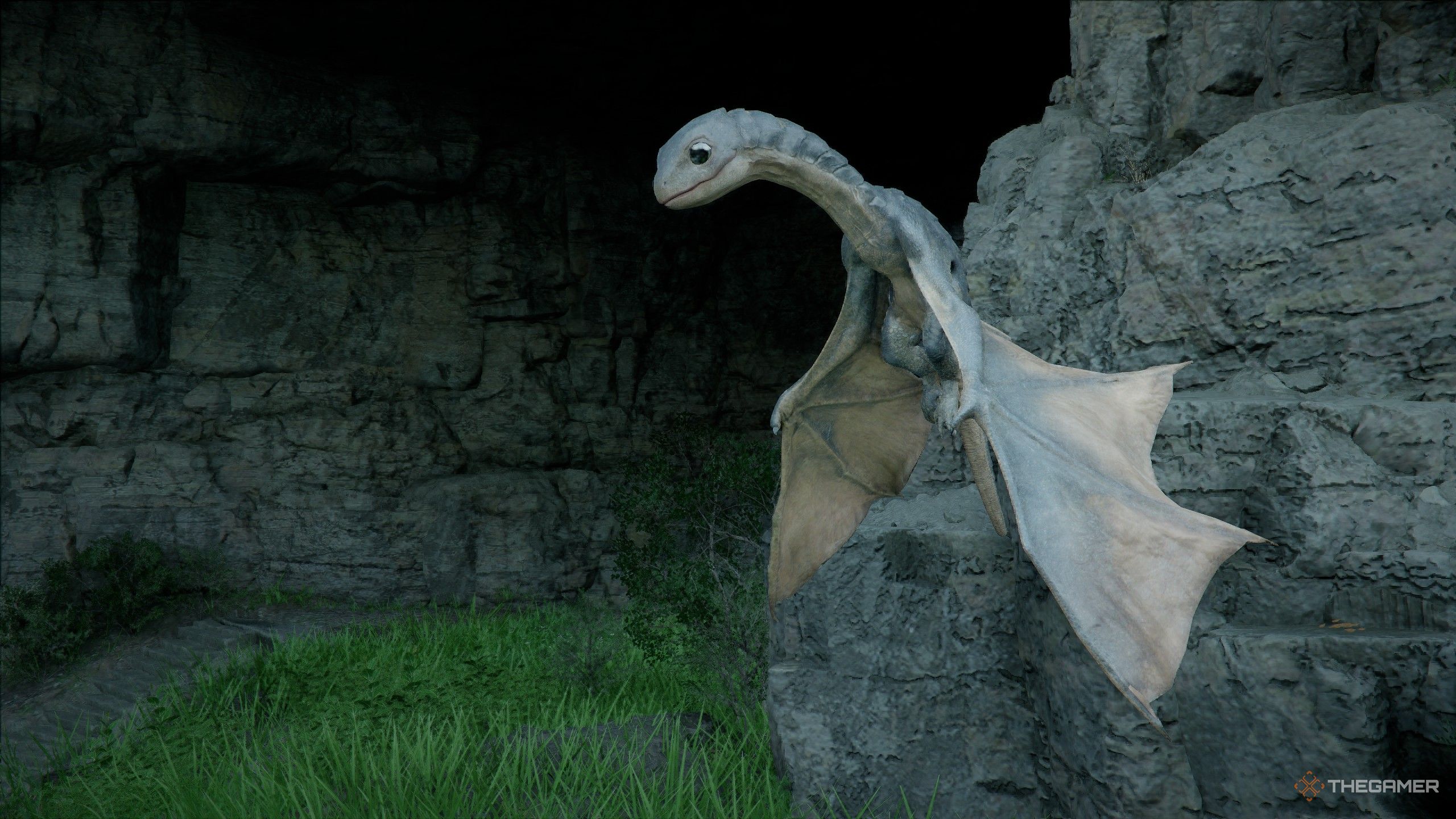 Where To Find The Baby Wyvern Pet In Crimson Desert