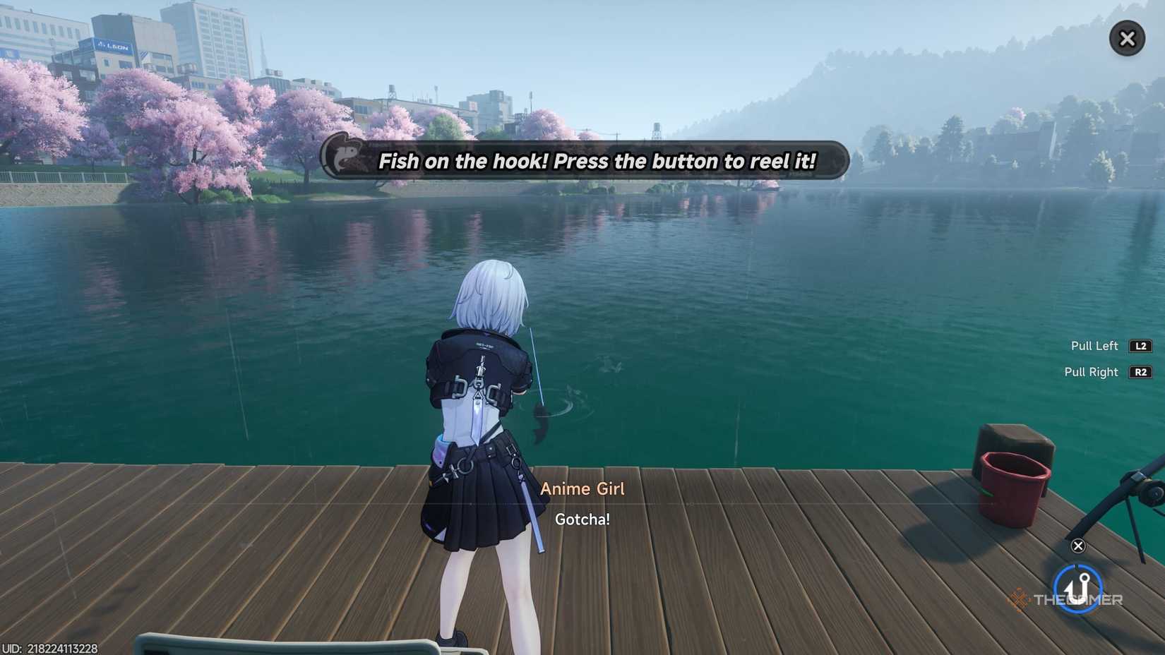 Catching a fish in NTE.