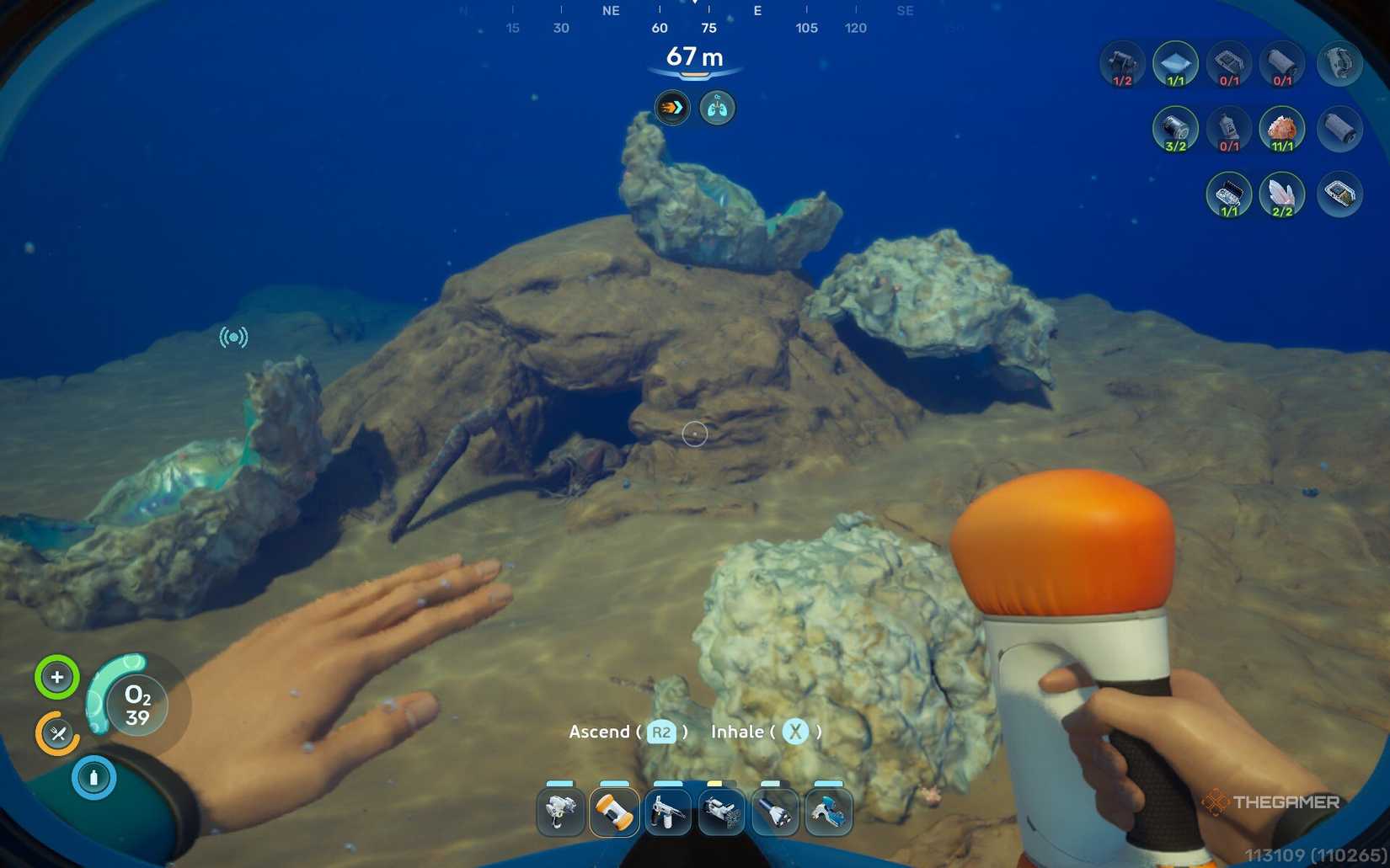 A dead coral crab surrounded by shells in Subnautica 2.