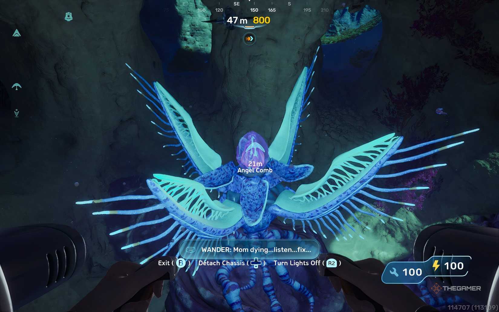 Angel Comb in a cave in Subnautica 2.