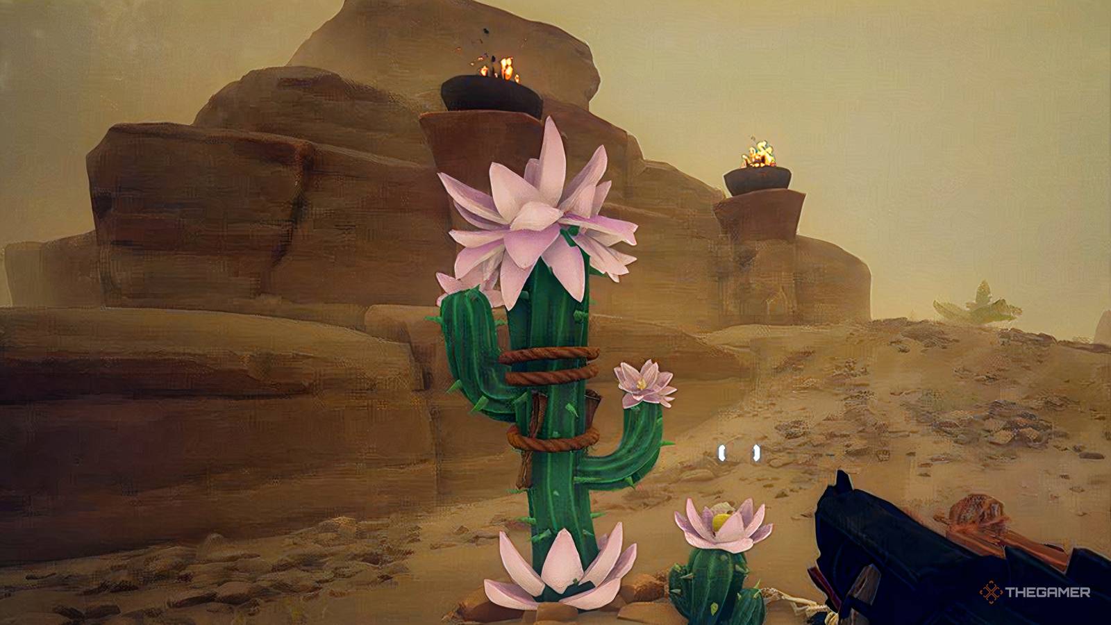 Far Far West: Desert Cactus Location And Puzzle Solution Guide