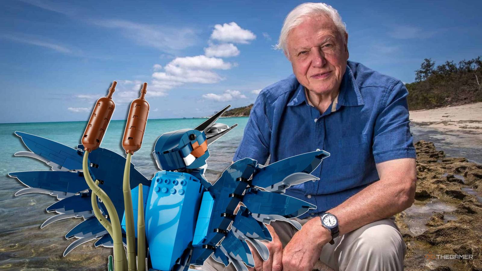 Sir David Attenborough Has Been Given Special Permission To Play With Lego After He Aged Out