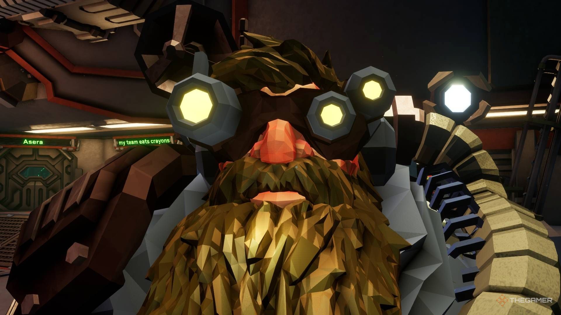 Close-up of Rogue Core character with glasses and big beard.