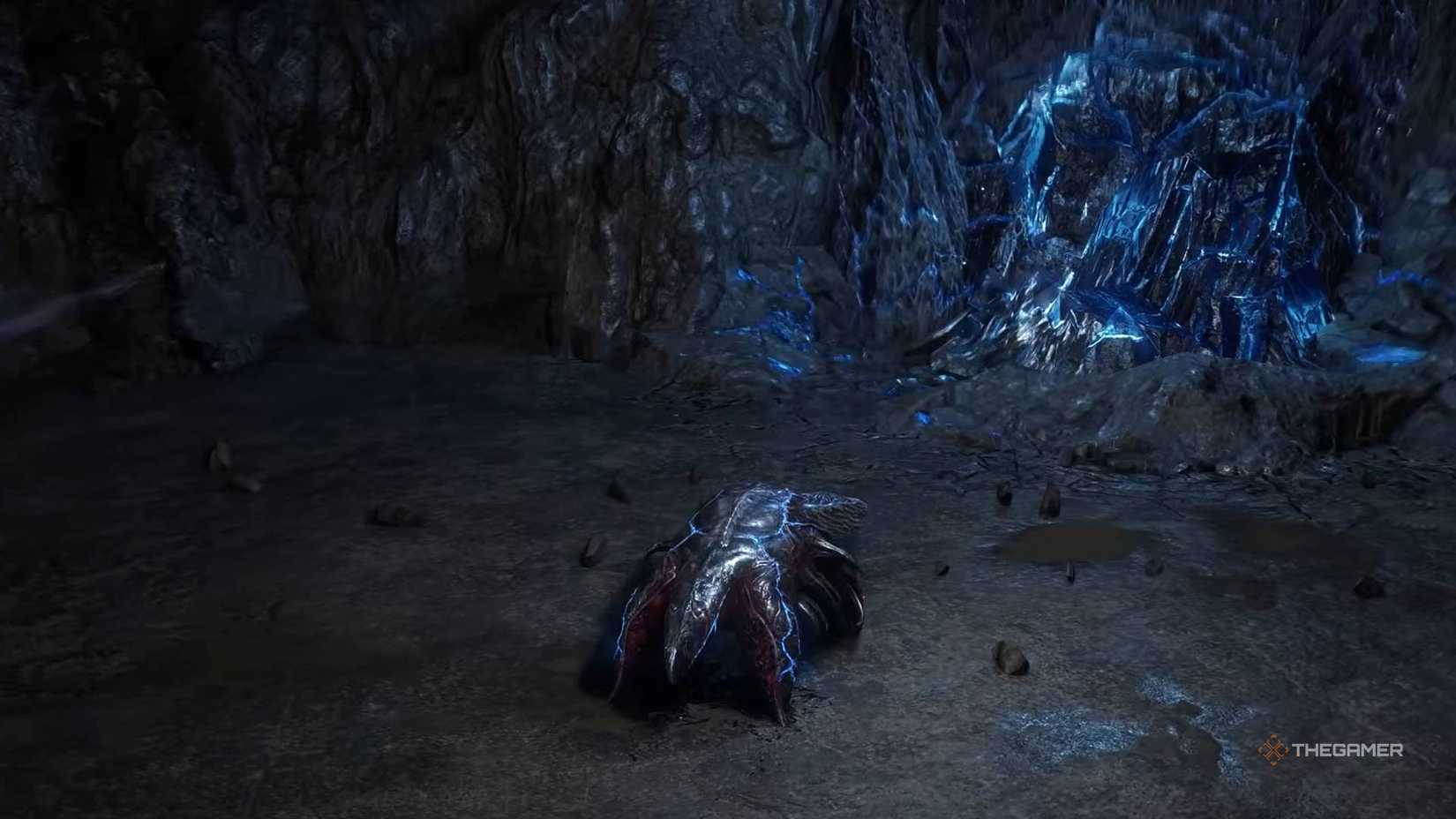 Veritisium pet PoE2.